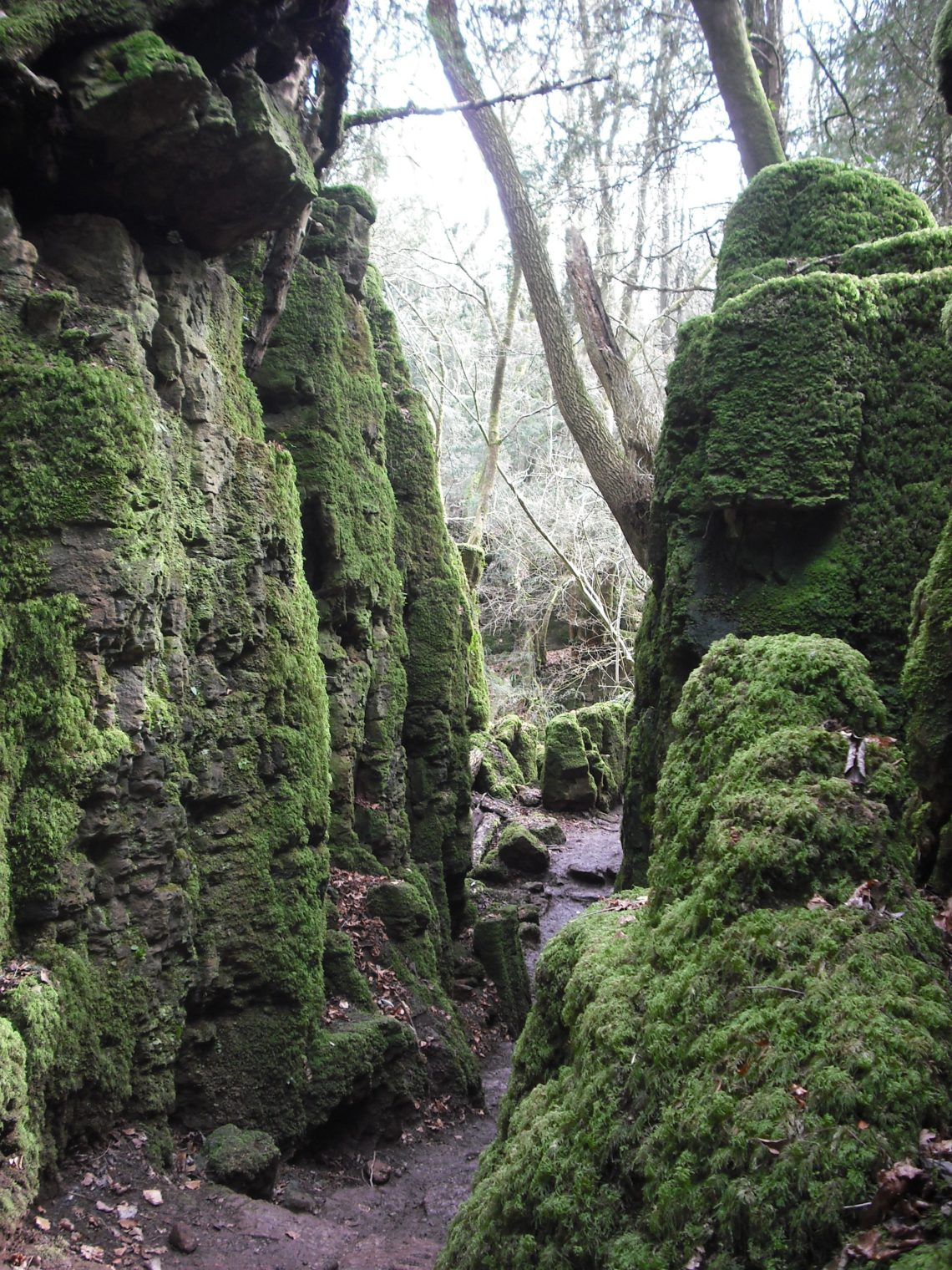 Puzzlewood formations