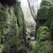 Puzzlewood formations